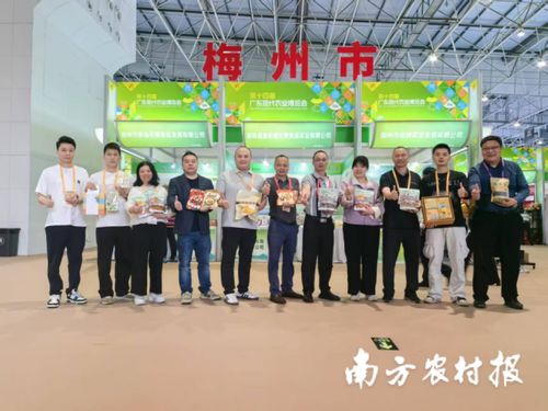 智創(chuàng)未來，AI賦能 蕉嶺毛竹品牌煥新，實業(yè)公司引領(lǐng)產(chǎn)業(yè)升級