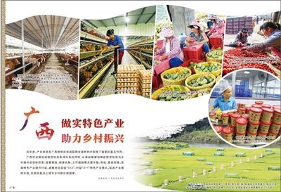 廣西 做實特色產業，激發農產品生產活力，助推鄉村振興