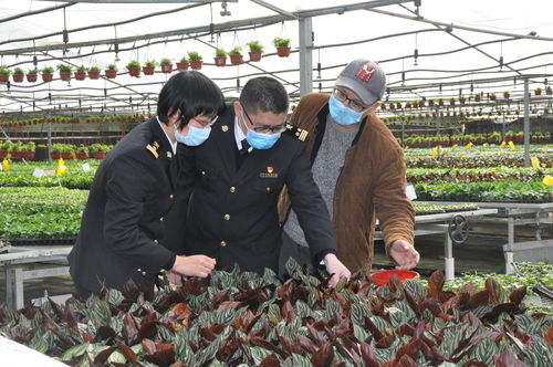 廣州農產品原材料進出口雙順暢，為農業生產注入新活力
