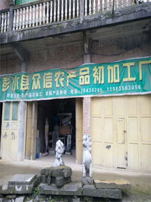 重慶彭水縣眾信農(nóng)產(chǎn)品初加工 專業(yè)農(nóng)作物加工與農(nóng)副產(chǎn)品銷售的可靠選擇